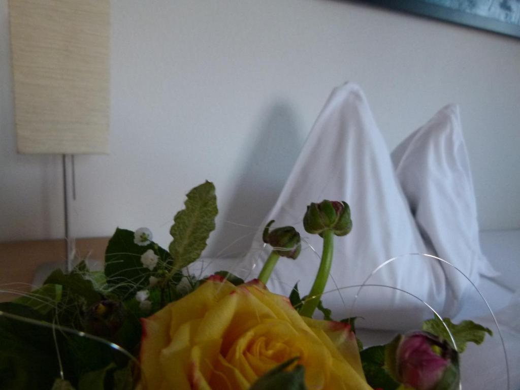 Hotel Fischachstubn Bergheim Quarto foto
